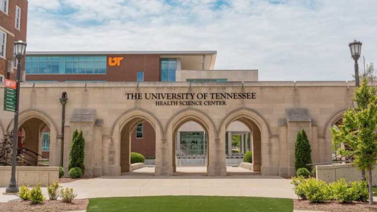 Three UT Health Science Center licensees earn SBIRs and STTRs